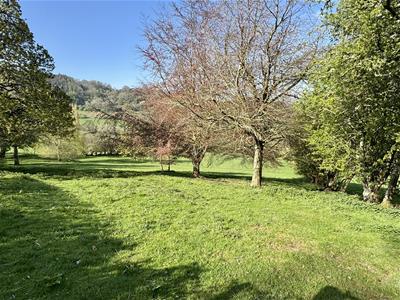 Picture 18